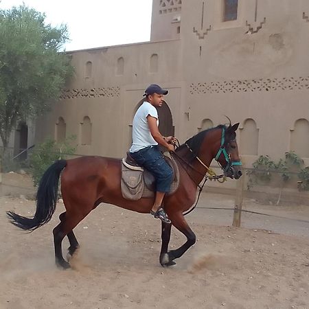 Kasbah Dar Dmana Otel Skoura Dış mekan fotoğraf