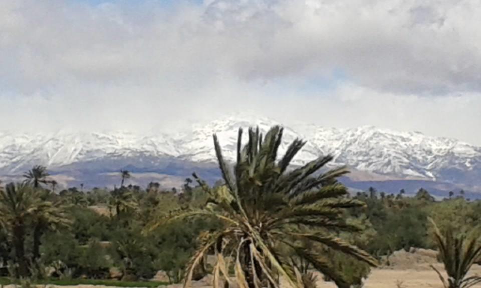 Kasbah Dar Dmana Otel Skoura Dış mekan fotoğraf